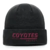 Men's Arizona Coyotes Fanatics Branded Black Authentic Pro Locker Room Cuffed Knit Hat