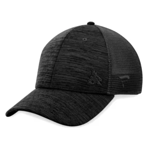 Arizona Coyotes Fanatics Branded Black Authentic Pro Road Flex Hat