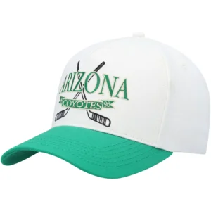 Men's Arizona Coyotes White Sticks Adjustable Hat