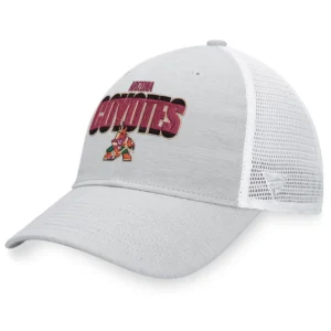 Arizona Coyotes Fanatics Branded Heather Gray/White Team Trucker Snapback Hat